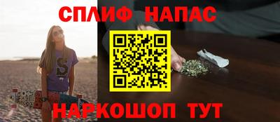 гидра Моздок