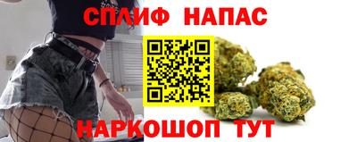 гидра Моздок