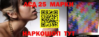 гидра Моздок