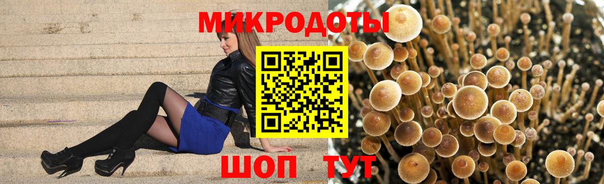 наркота  Галлюциногенные грибы ЛСД  Вход с VPN  Тамбов 